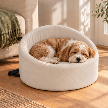 Dog Seat